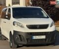 Белый Пежо Эксперт груз.-пасс., объемом двигателя 2 л и пробегом 298 тыс. км за 14200 $, фото 15 на Automoto.ua