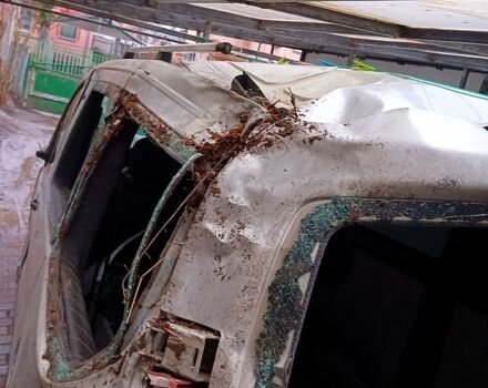 Серый Пежо Эксперт груз.-пасс., объемом двигателя 2 л и пробегом 240 тыс. км за 3500 $, фото 2 на Automoto.ua