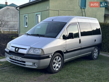 Сірий Пежо Експерт вант.-пас., об'ємом двигуна 1.9 л та пробігом 295 тис. км за 4800 $, фото 1 на Automoto.ua