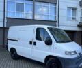 Пежо Boxer 2000 у Івано-Франківську на Automoto.ua Білий Пежо Boxer, об'ємом двигуна 1.9 л та пробігом 254 тис. км за 3500 $, фото 1 на Automoto.ua