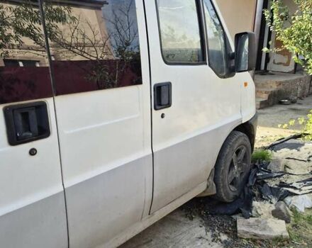 Пежо Boxer 1998 у Херсоні на Automoto.ua Білий Пежо Boxer, об'ємом двигуна 2.45 л та пробігом 356 тис. км за 3300 $, фото 6 на Automoto.ua