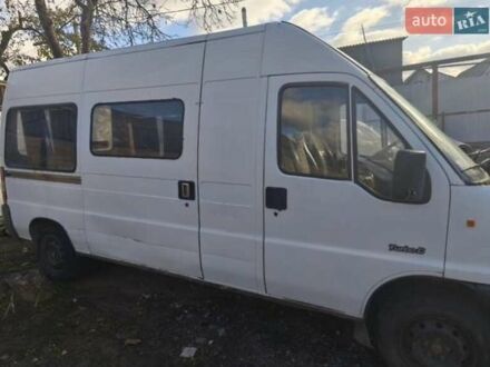Пежо Boxer 1995 в Запорожье на Automoto.ua Белый Пежо Boxer, объемом двигателя 2.5 л и пробегом 300 тыс. км за 3000 $, фото 1 на Automoto.ua
