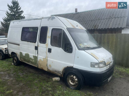 Пежо Boxer 1996 у Сумах на Automoto.ua Білий Пежо Boxer, об'ємом двигуна 2.5 л та пробігом 700 тис. км за 1700 $, фото 1 на Automoto.ua