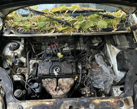 Белый Пежо Partner, объемом двигателя 1.4 л и пробегом 200 тыс. км за 1500 $, фото 5 на Automoto.ua