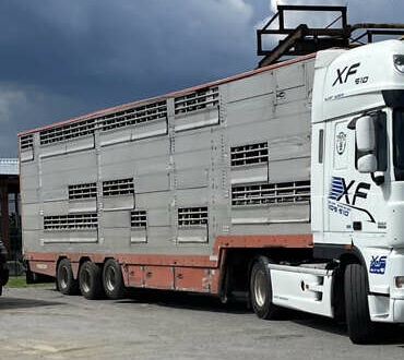 Черный Pezzaioli SBA, объемом двигателя 0 л и пробегом 500 тыс. км за 39500 $, фото 1 на Automoto.ua