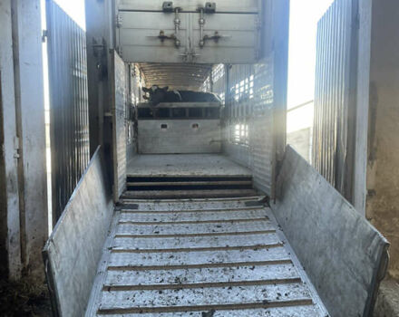 Серый Pezzaioli SBA, объемом двигателя 0 л и пробегом 500 тыс. км за 39500 $, фото 4 на Automoto.ua