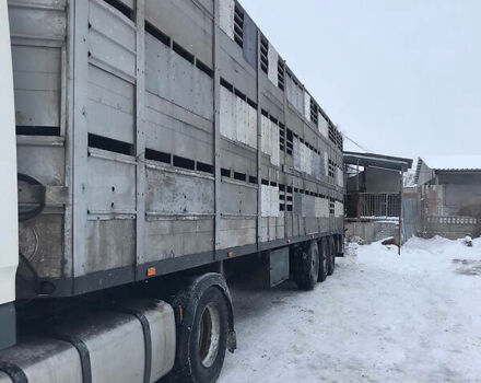 Серый Pezzaioli Zorzi, объемом двигателя 0 л и пробегом 500 тыс. км за 9900 $, фото 3 на Automoto.ua