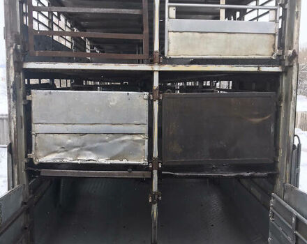 Серый Pezzaioli Zorzi, объемом двигателя 0 л и пробегом 500 тыс. км за 9900 $, фото 13 на Automoto.ua