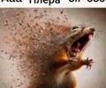 Пиаджо Другая, объемом двигателя 0.18 л и пробегом 0 тыс. км за 2300 $, фото 7 на Automoto.ua
