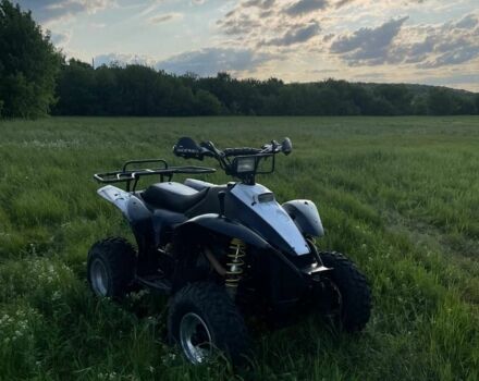 Поларис Другая, объемом двигателя 0.33 л и пробегом 0 тыс. км за 2500 $, фото 9 на Automoto.ua