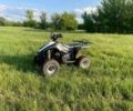 Поларис Другая, объемом двигателя 0.33 л и пробегом 0 тыс. км за 2500 $, фото 10 на Automoto.ua