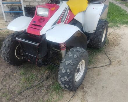 Поларис Другая, объемом двигателя 0.33 л и пробегом 0 тыс. км за 2500 $, фото 4 на Automoto.ua