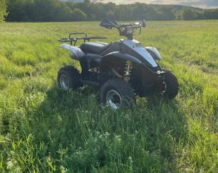 Поларис Другая, объемом двигателя 0.33 л и пробегом 0 тыс. км за 2500 $, фото 6 на Automoto.ua