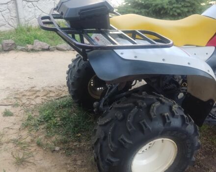 Поларис Другая, объемом двигателя 0.33 л и пробегом 0 тыс. км за 2500 $, фото 5 на Automoto.ua