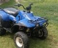 Поларіс Інша, об'ємом двигуна 0.33 л та пробігом 0 тис. км за 1400 $, фото 1 на Automoto.ua