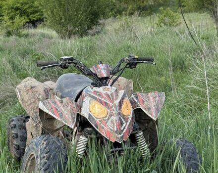 Поларис Другая, объемом двигателя 90 л и пробегом 0 тыс. км за 1000 $, фото 6 на Automoto.ua
