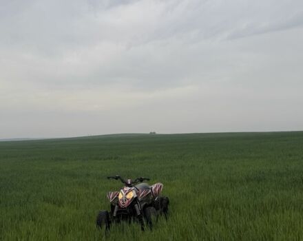 Поларис Другая, объемом двигателя 90 л и пробегом 0 тыс. км за 1000 $, фото 5 на Automoto.ua