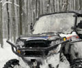Поларіс RZR 900, об'ємом двигуна 0 л та пробігом 1 тис. км за 8500 $, фото 1 на Automoto.ua