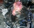 Зеленый Понтиак Транс Спорт, объемом двигателя 3 л и пробегом 280 тыс. км за 480 $, фото 3 на Automoto.ua