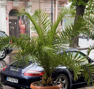 Синій Порше 911, об'ємом двигуна 3.82 л та пробігом 84 тис. км за 60000 $, фото 8 на Automoto.ua