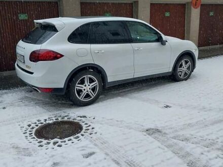 Порше Каен 2012 в Львове на Automoto.ua Белый Порше Каен, объемом двигателя 3.6 л и пробегом 155 тыс. км за 31000 $, фото 1 на Automoto.ua
