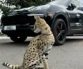 Чорний Порше Cayenne, об'ємом двигуна 3.6 л та пробігом 145 тис. км за 35000 $, фото 1 на Automoto.ua