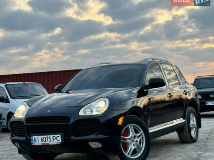 Порше Каен 2004 в Ровно на Automoto.ua Черный Порше Каен, объемом двигателя 4.51 л и пробегом 205 тыс. км за 6999 $, фото 1 на Automoto.ua