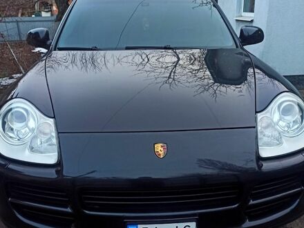 Порше Cayenne 2005 у Полтаві на Automoto.ua Чорний Порше Cayenne, об'ємом двигуна 4.5 л та пробігом 209 тис. км за 6500 $, фото 1 на Automoto.ua