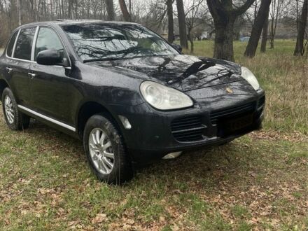 Порше Cayenne 2005 у Житомирі на Automoto.ua Чорний Порше Cayenne, об'ємом двигуна 0 л та пробігом 313 тис. км за 5200 $, фото 1 на Automoto.ua