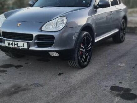 Порше Cayenne 2004 у Чернівцях на Automoto.ua Сірий Порше Cayenne, об'ємом двигуна 3.2 л та пробігом 230 тис. км за 5131 $, фото 1 на Automoto.ua