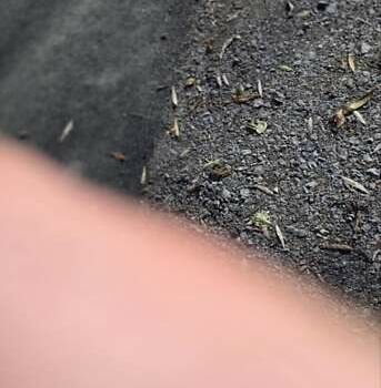 Синий Порше Каен, объемом двигателя 4 л и пробегом 51 тыс. км за 150000 $, фото 20 на Automoto.ua