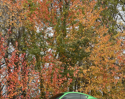 Зеленый Порше Кайман, объемом двигателя 2.71 л и пробегом 70 тыс. км за 37100 $, фото 11 на Automoto.ua