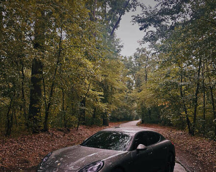 Порше Панамера 2013 в Киеве на Automoto.ua Серый Порше Панамера, объемом двигателя 3.6 л и пробегом 112 тыс. км за 27500 $, фото 23 на Automoto.ua