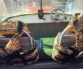 Прогресс 2М, объемом двигателя 0 л и пробегом 1 тыс. км за 1550 $, фото 5 на Automoto.ua