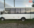 Белый РУТА 19, объемом двигателя 2.46 л и пробегом 450 тыс. км за 4000 $, фото 6 на Automoto.ua