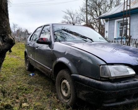 Серый Рено 19, объемом двигателя 1.4 л и пробегом 300 тыс. км за 303 $, фото 1 на Automoto.ua