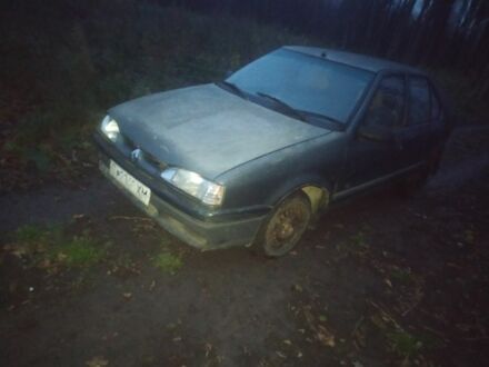 Серый Рено 19, объемом двигателя 1.4 л и пробегом 150 тыс. км за 250 $, фото 1 на Automoto.ua