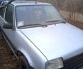 Серый Рено 5, объемом двигателя 1.4 л и пробегом 0 тыс. км за 290 $, фото 1 на Automoto.ua