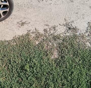 Червоний Рено Каптур, об'ємом двигуна 1.46 л та пробігом 168 тис. км за 15900 $, фото 7 на Automoto.ua