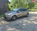 Серый Рено Клио, объемом двигателя 1.46 л и пробегом 257 тыс. км за 6900 $, фото 1 на Automoto.ua