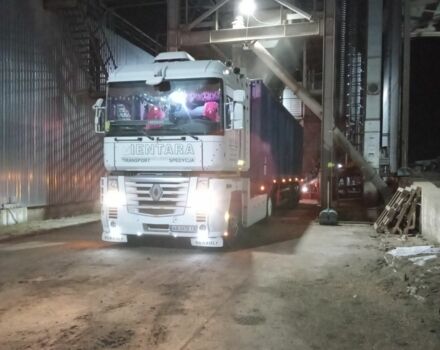 Рено Інша, об'ємом двигуна 0 л та пробігом 0 тис. км за 13888 $, фото 2 на Automoto.ua