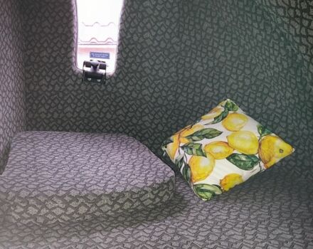 Рено Другая, объемом двигателя 0 л и пробегом 0 тыс. км за 20500 $, фото 5 на Automoto.ua