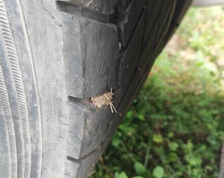 Рено Другая, объемом двигателя 0 л и пробегом 0 тыс. км за 7500 $, фото 4 на Automoto.ua