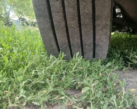 Рено Інша, об'ємом двигуна 0 л та пробігом 0 тис. км за 6200 $, фото 3 на Automoto.ua