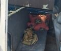 Белый Рено Кенгу Экспресс, объемом двигателя 1.9 л и пробегом 300 тыс. км за 604 $, фото 2 на Automoto.ua