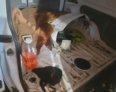 Белый Рено Кенгу Экспресс, объемом двигателя 0 л и пробегом 300 тыс. км за 1200 $, фото 7 на Automoto.ua