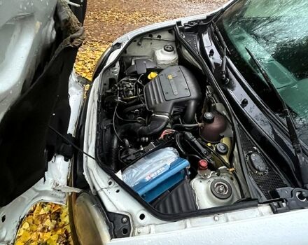 Белый Рено Кенгу, объемом двигателя 1.9 л и пробегом 500 тыс. км за 2600 $, фото 11 на Automoto.ua