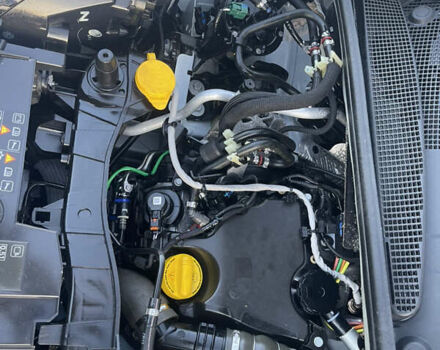 Белый Рено Кенгу, объемом двигателя 0 л и пробегом 110 тыс. км за 13300 $, фото 36 на Automoto.ua