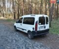 Белый Рено Кенгу, объемом двигателя 1.9 л и пробегом 380 тыс. км за 2700 $, фото 1 на Automoto.ua