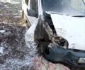 Белый Рено Кенгу, объемом двигателя 1.9 л и пробегом 280 тыс. км за 1200 $, фото 8 на Automoto.ua